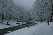 IMG_2126