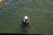 IMG_3178