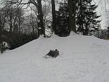 IMG_3466