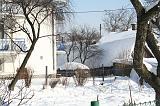 IMG_5185