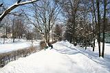IMG_5206