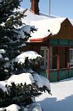 IMG_5252