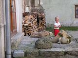 IMG_0431