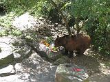 IMG_1208