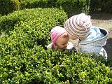 IMG_3860