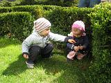 IMG_3868