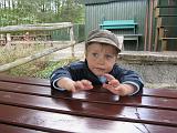 IMG_3984