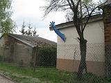 IMG_3998