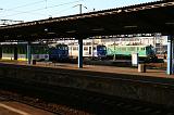 IMG_4955