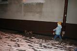 IMG_5302