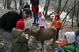 IMG_7972