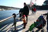 IMG_8449