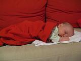 2008-01-08_0627