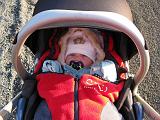 2008-01-12_0664