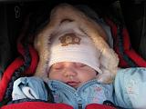 2008-01-12_0673