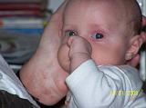 2008-01-19_0985