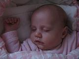 2008-01-22_0873