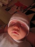 2008-01-31_1039
