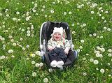 2008-05-17_2524